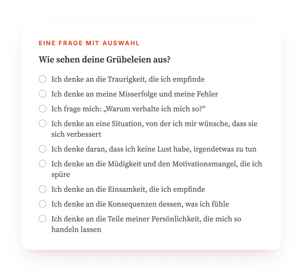 Vorschau, ein Auszug aus einem Schritt des Programms