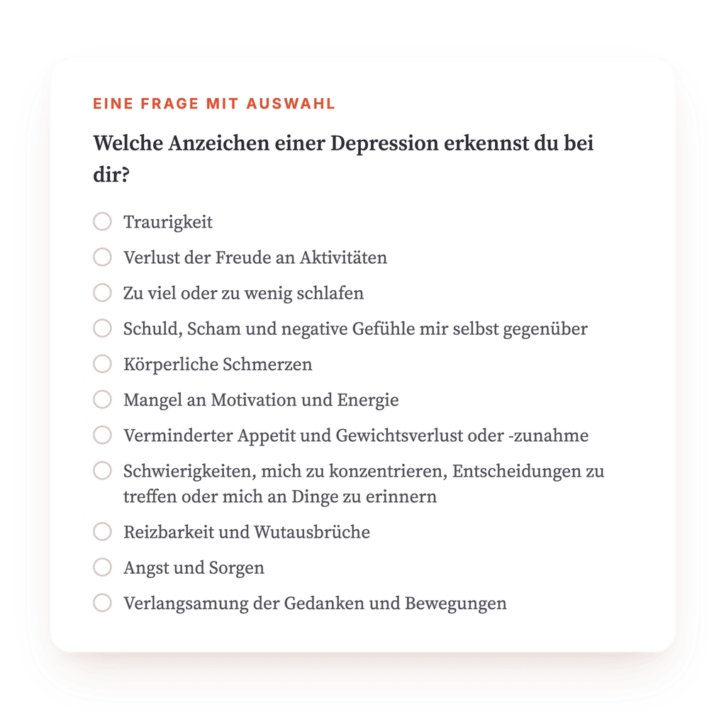 Vorschau, ein Auszug aus einem Schritt des Programms