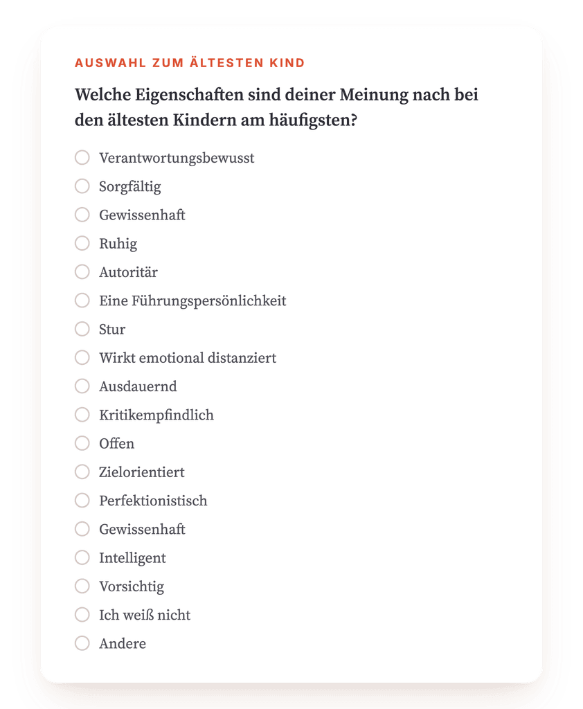 Vorschau, ein Auszug aus einem Schritt des Programms