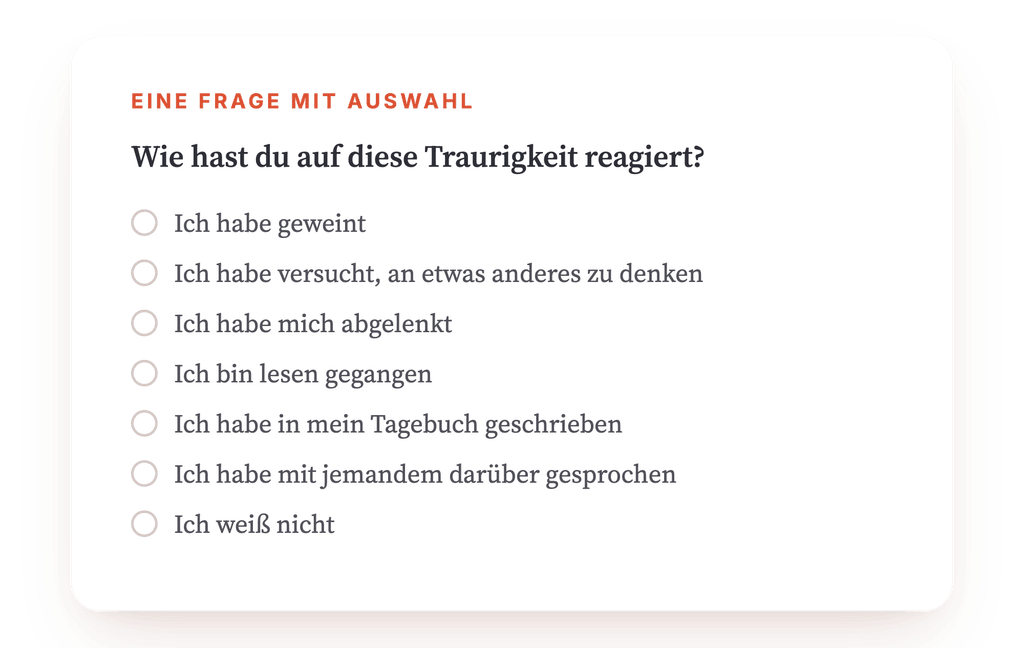 Vorschau, ein Auszug aus einem Schritt des Programms