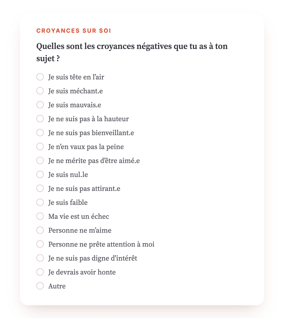 Aperçu, un extrait d'une étape du programme