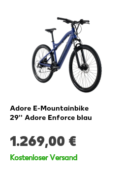 Adore E-Bike