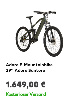 Adore E-Mountainbike