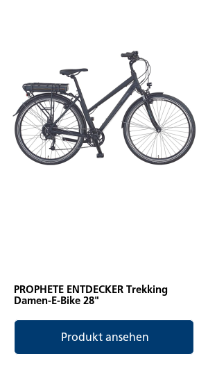 E-Bike