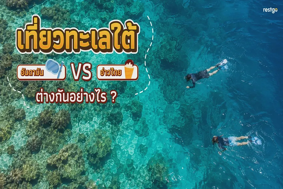 เที่ยวทะเลใต้ฝั่งอันดามัน vs อ่าวไทย ต่างกันอย่างไร อ่าวไทย อันดามัน เกาะสมุย เกาะพะงัน เกาะเต่า สิมิลัน กระบี่ พังงา นครศรีธรรมราช สงขลา ชัยนาท ชุมพร ระนอง ตราด ตรัง