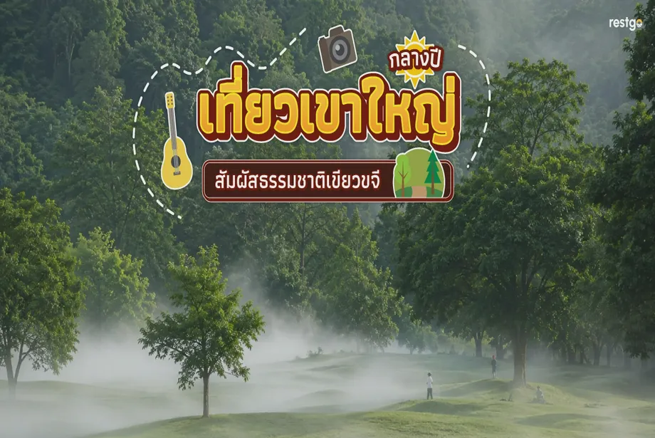 เที่ยวเขาใหญ่กลางปี สัมผัสธรรมชาติเขียวขจี เขาใหญ่ นครราชสีมา