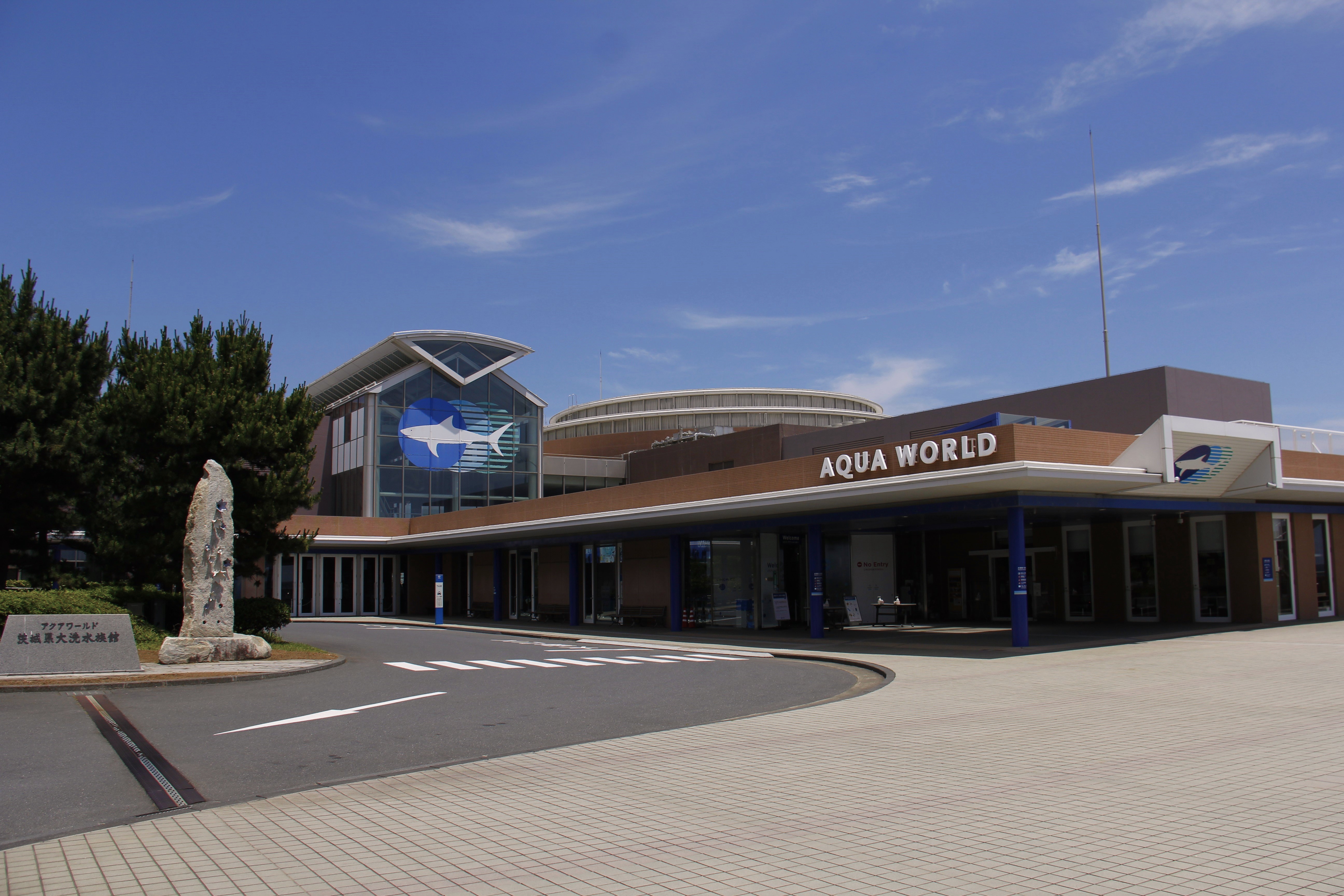 【6/4~ クーポン割引】茨城 アクアワールド茨城県大洗水族館 入場Eチケット 予約