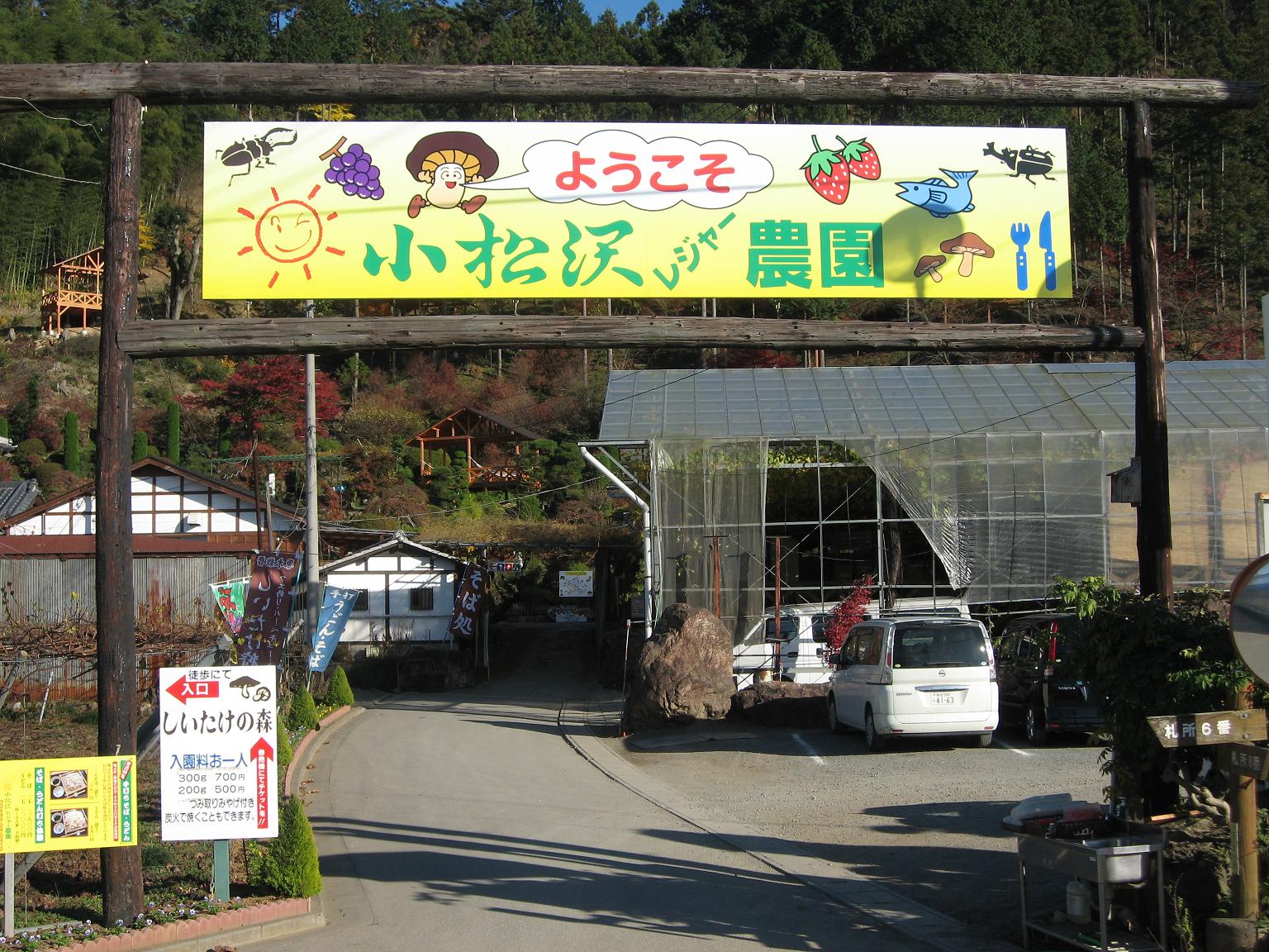 埼玉県 秩父 小松沢レジャー農園 しいたけ狩り体験＜お持ち帰り可能＞