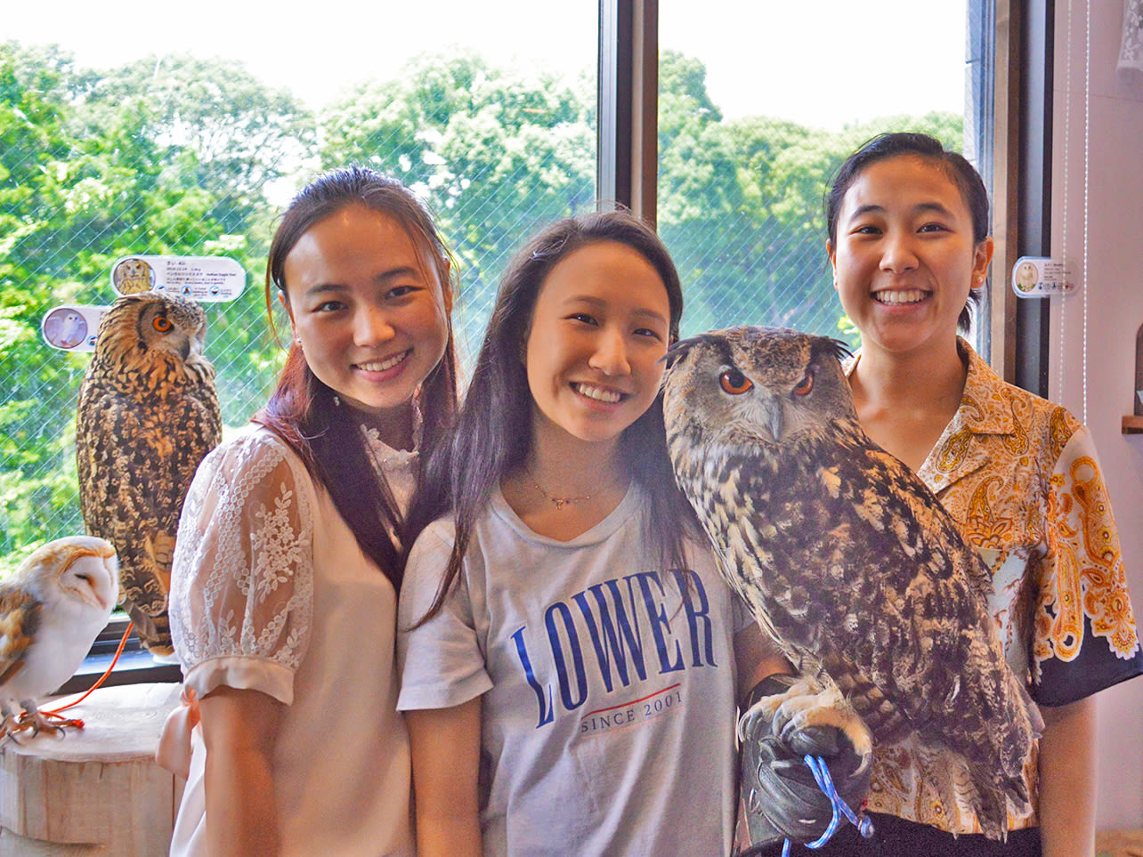 Reservation for Owl Cafe in Tokyo Japan (Official Partner) -Rakuten Travel Experiences