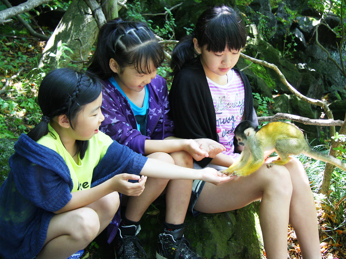 シャボテン公園チケット