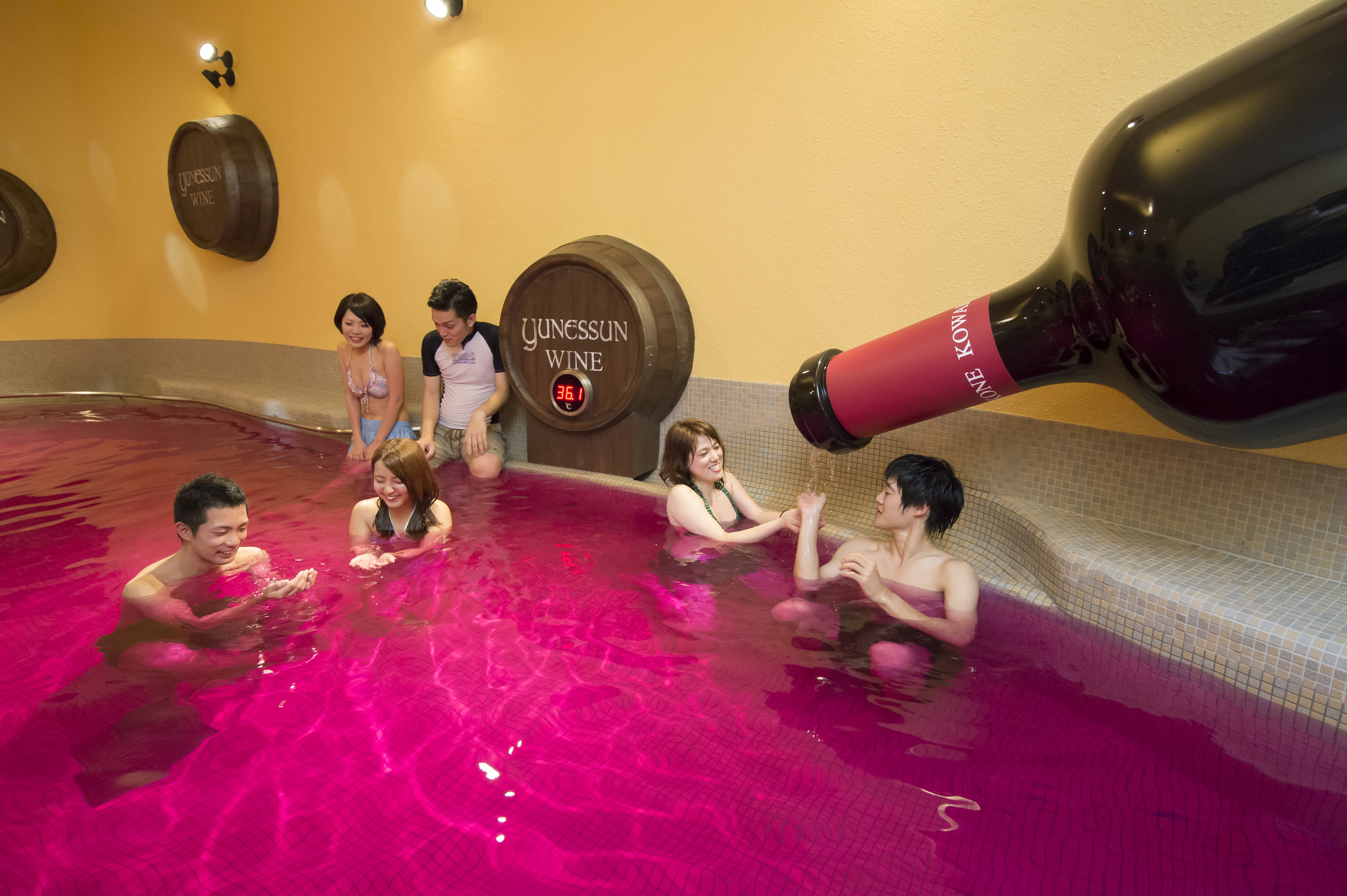Hakone Kowakien Yunessun Onsen Theme Park E-Tickets