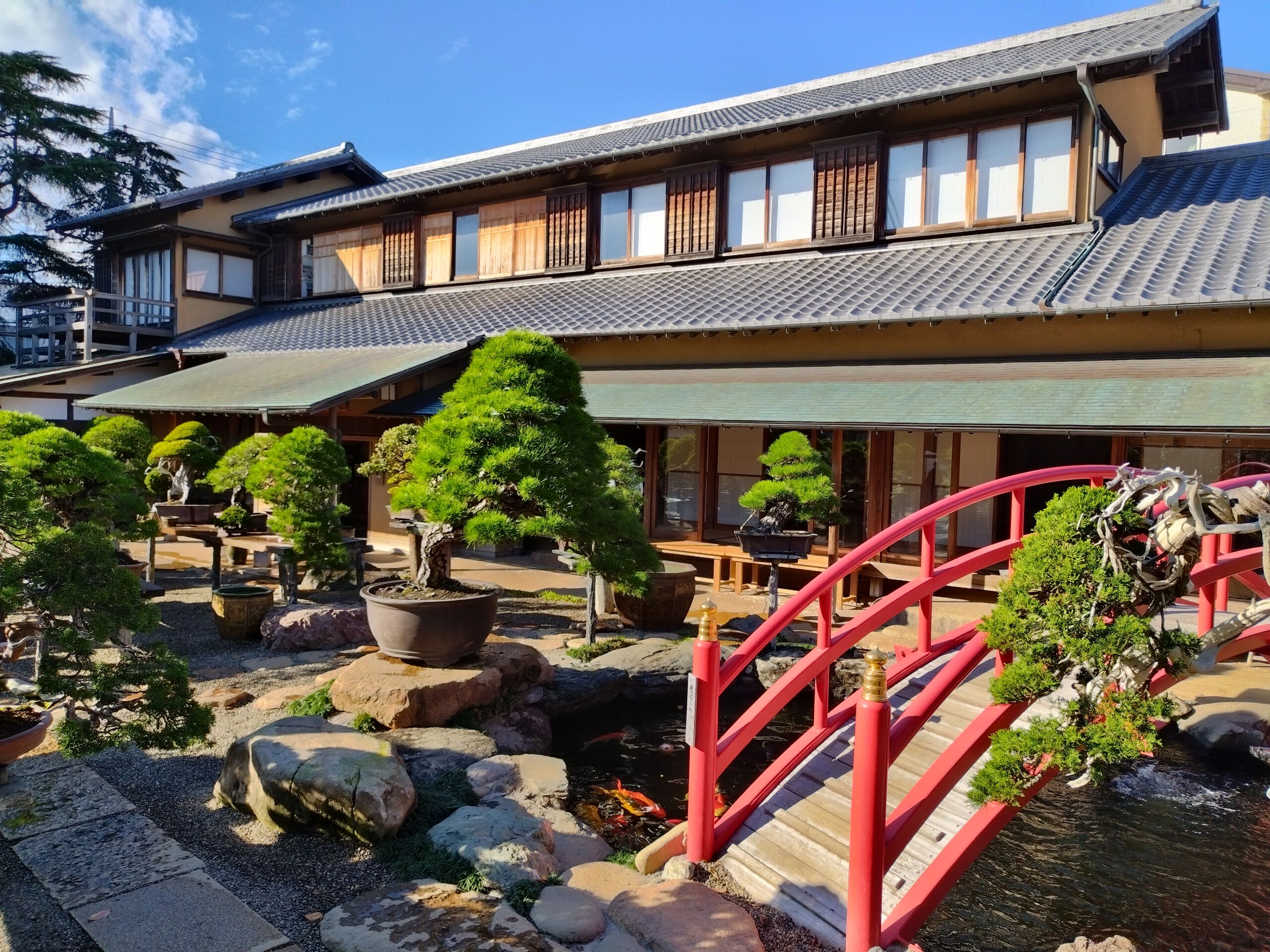 Shunkaen Bonsai Museum Tokyo E-Tickets -Rakuten Travel Experiences
