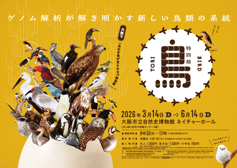 大阪 特別展「鳥～ゲノム解析が解き明かす新しい鳥類の系統～」入場