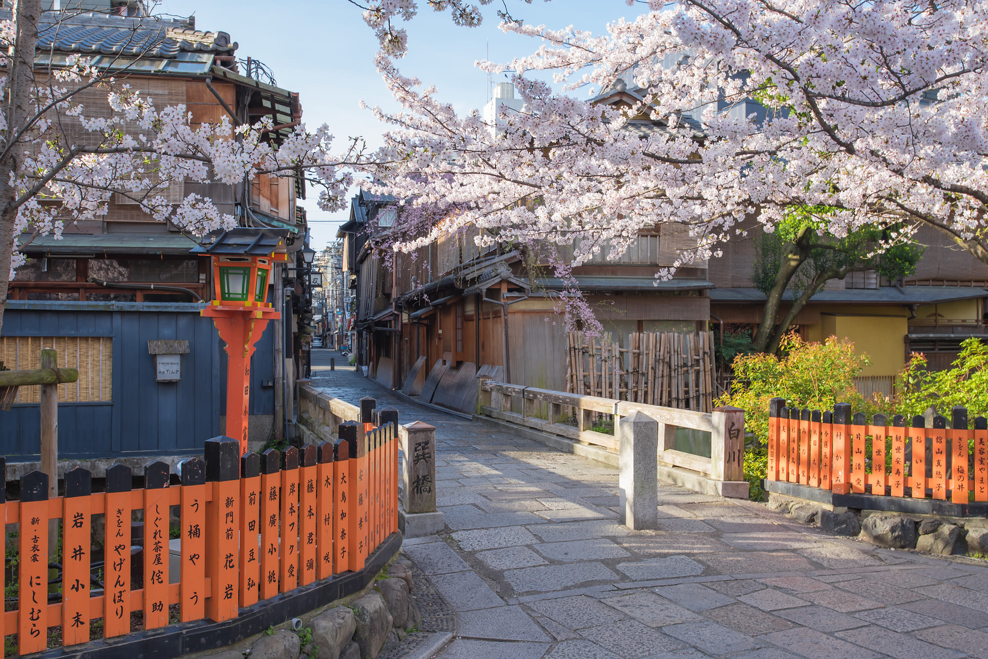 京都東山 人力車のえびす屋 「清水寺・銀閣寺・祇園」を巡る人力車ツアー 予約