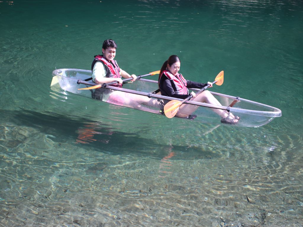 cdc294ea-8d12-4fdb-aa4d-