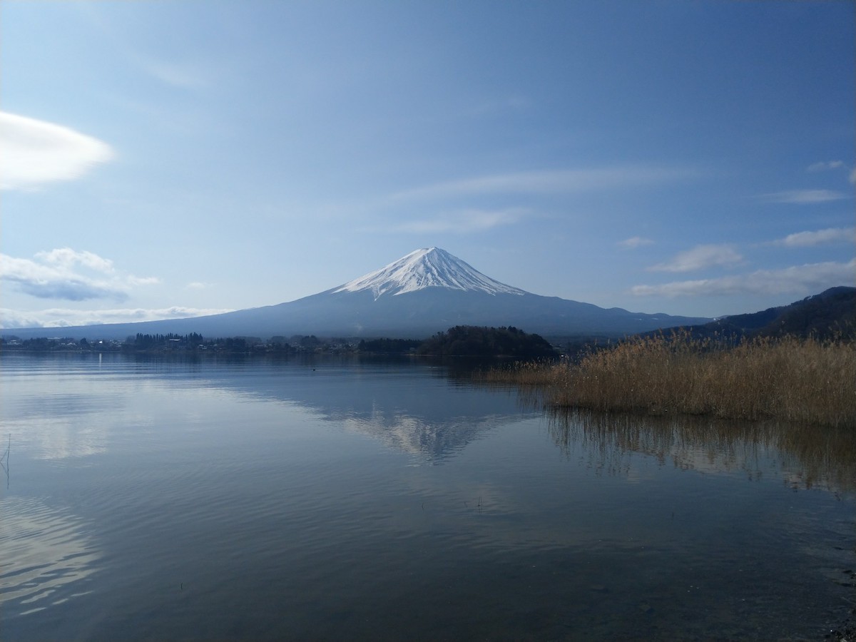 mt fuji bus tour from shinjuku