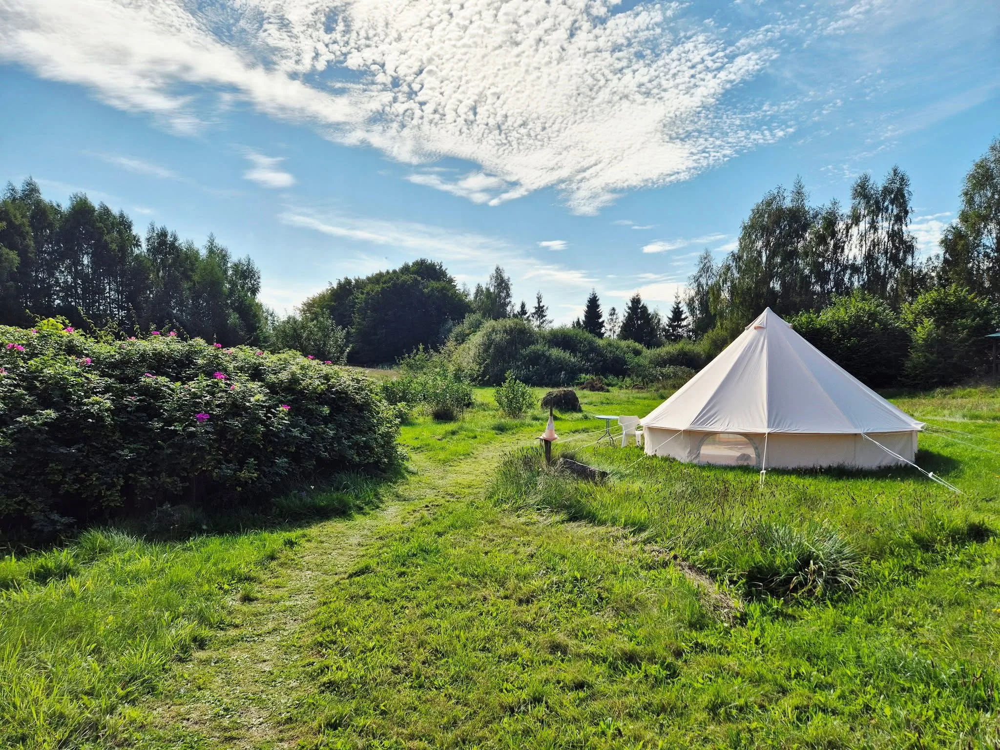 Zdjęcie warsztatu 7