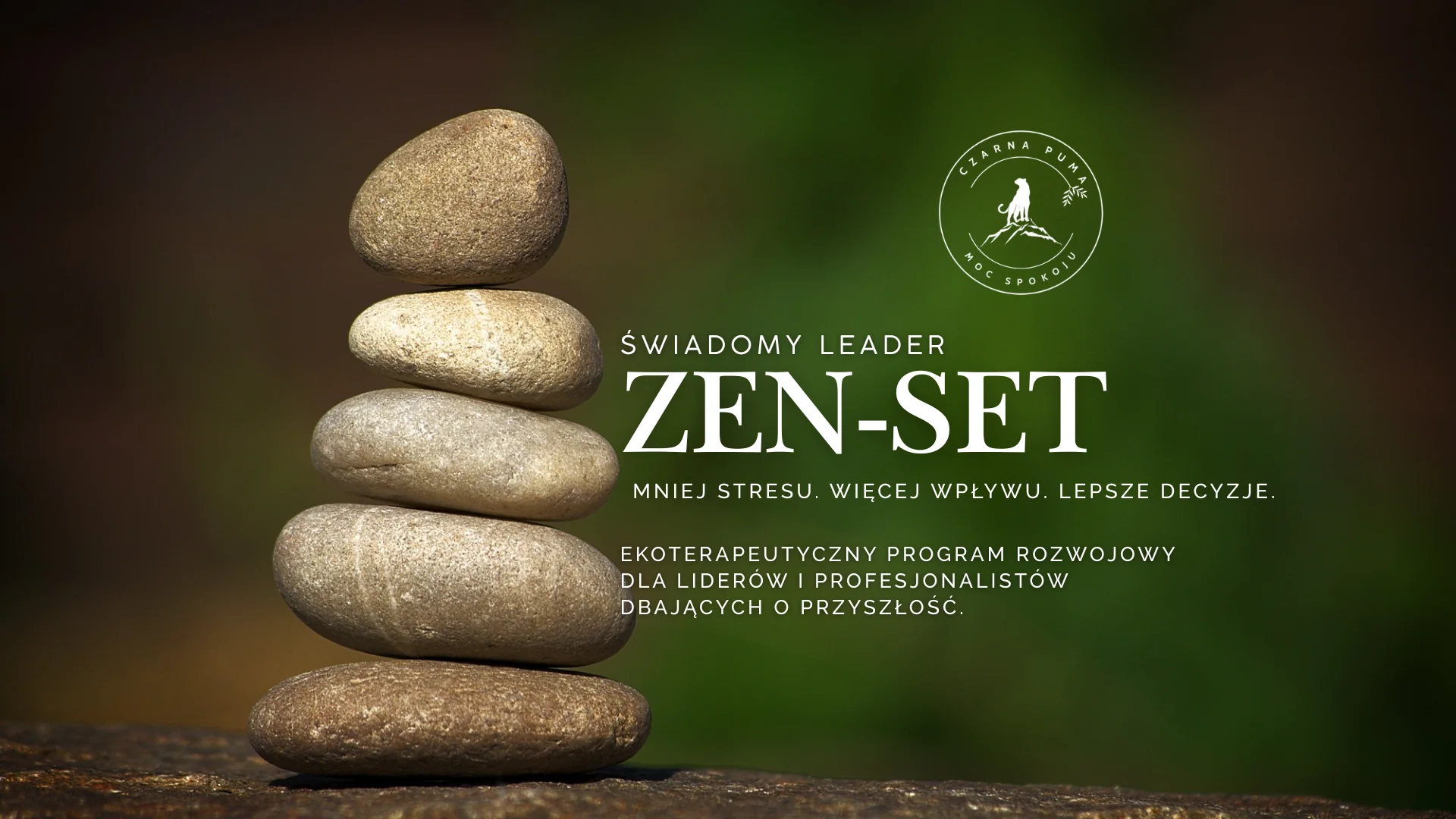 ZEN-SET program rozwoju odporności na stres dla Świadomych Leaderów