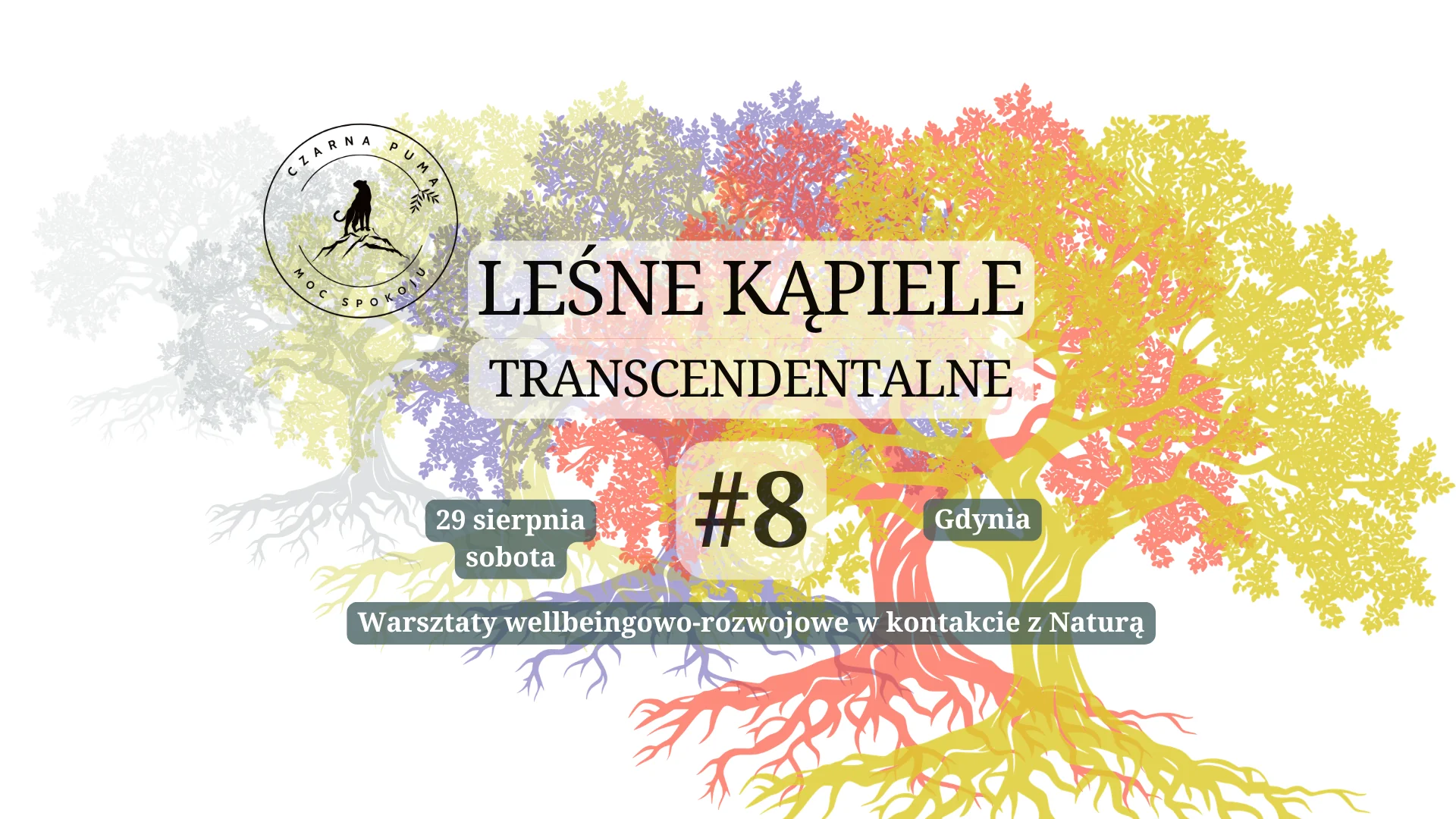 Leśne Kąpiele Transcendentalne - #8 Transformacje