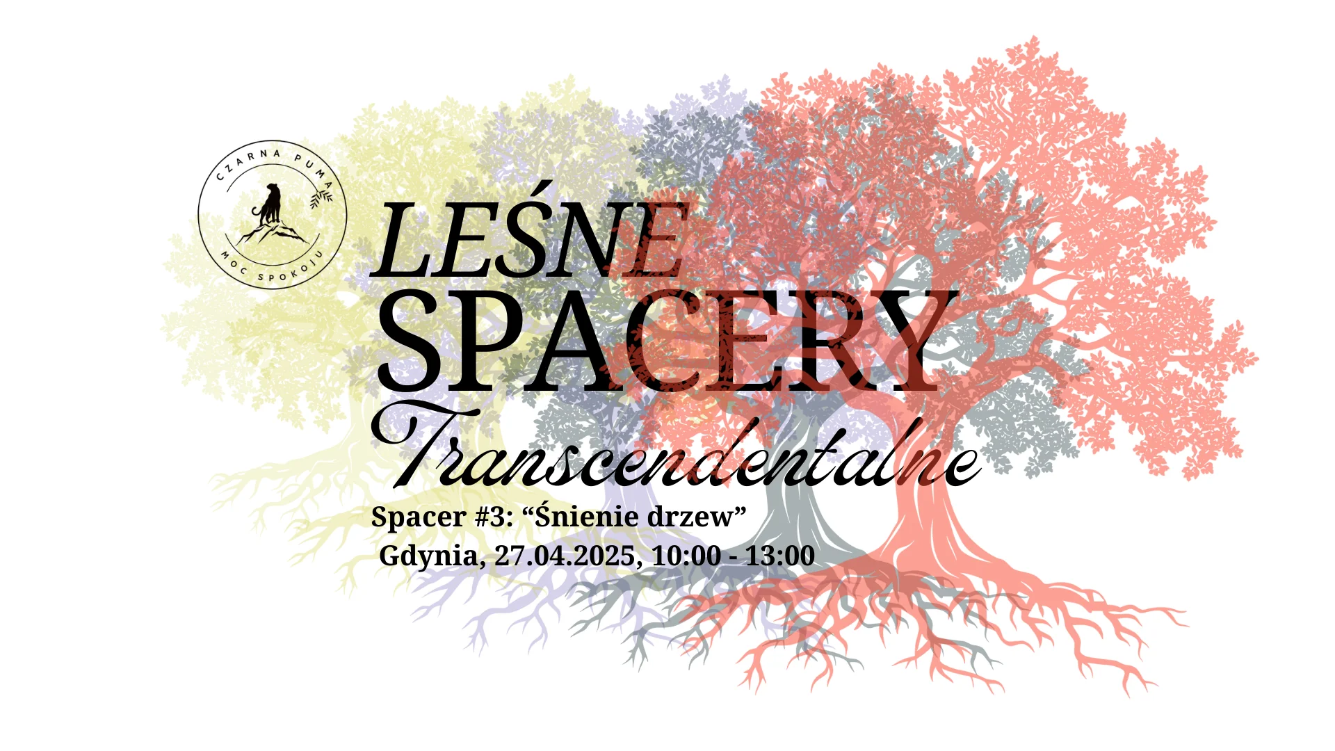Leśne Spacery Transcendentalne "Śnienie drzew", Spacer #3