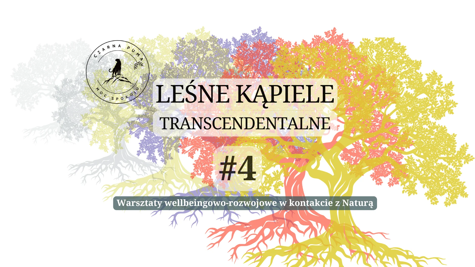 Leśne Kąpiele Transcendentalne - warsztaty wellbeingowo - rozwojowe wspierające w przejściu przez zmianę.