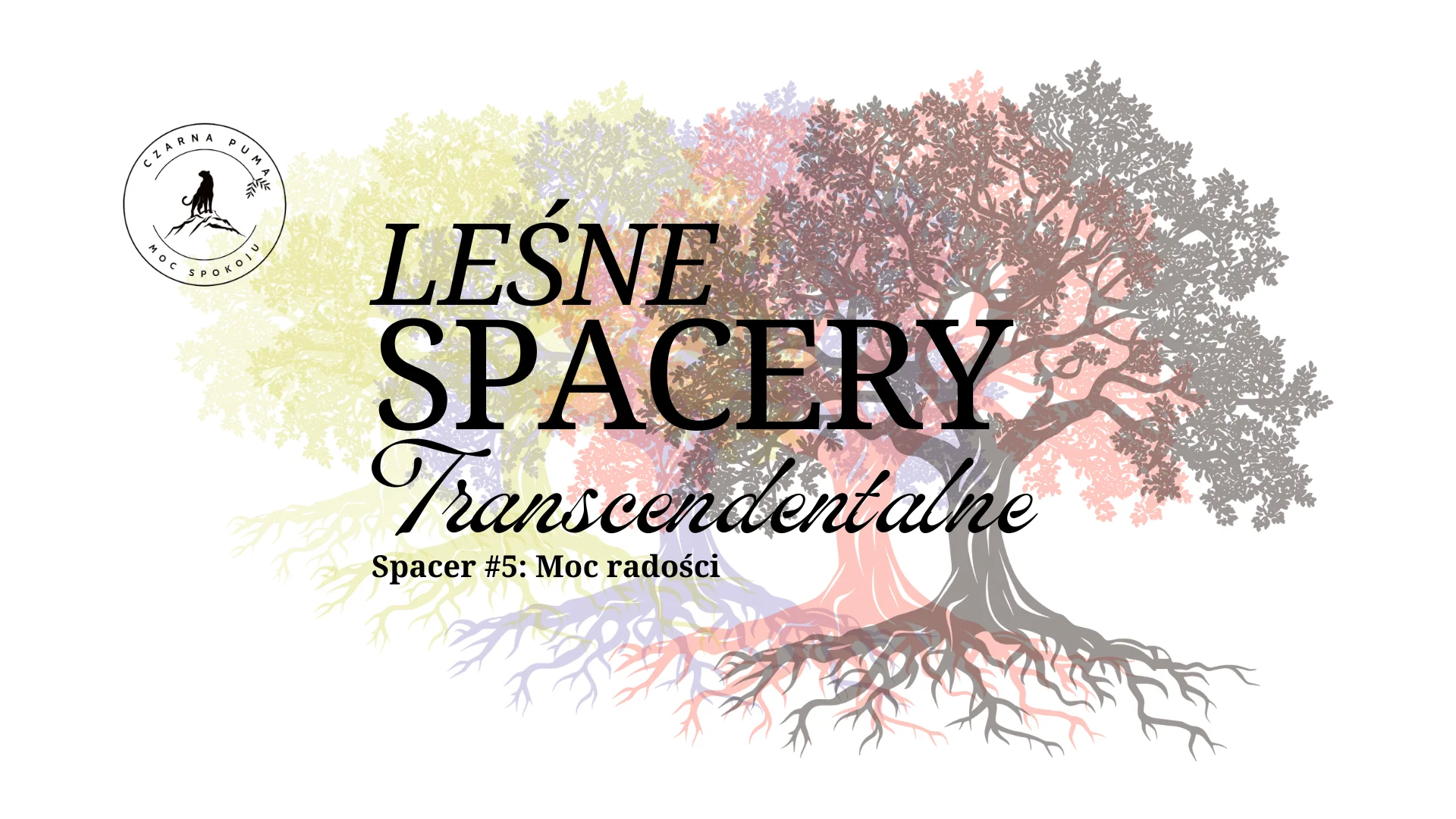 Leśne Spacery Transcendentalne "Moc radości" Spacer #5