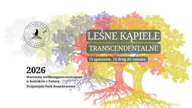 Leśne Kąpiele Transcendentalne - warsztaty wellbeingowo - rozwojowe dla Kobiet w zmianie