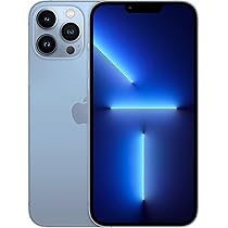 13 PRO MAX 256 GB BOX PACK