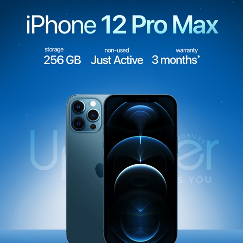 12 PROMAX 256GB.