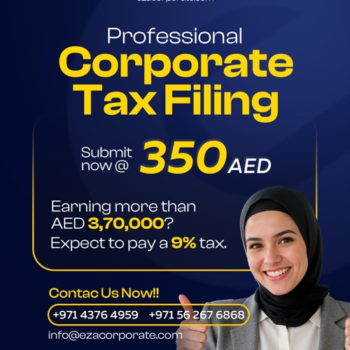 Corporate Tax Submission