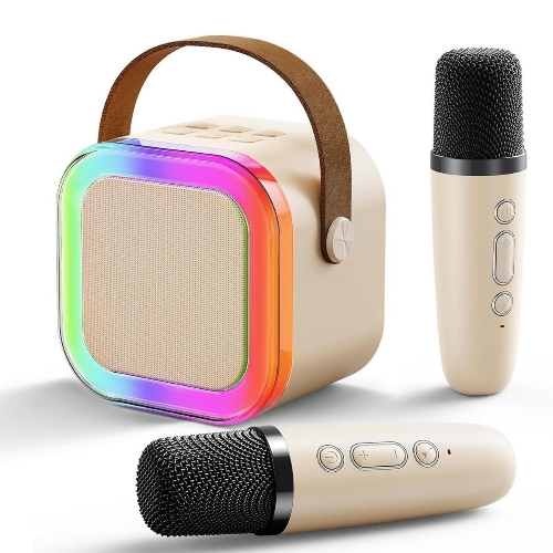 BT DOUBLE MIC SPEAKER