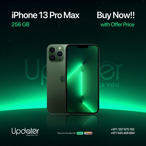 13 PRO MAX 256GB.