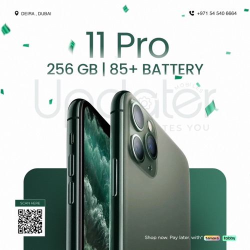 11 PRO 256GB.