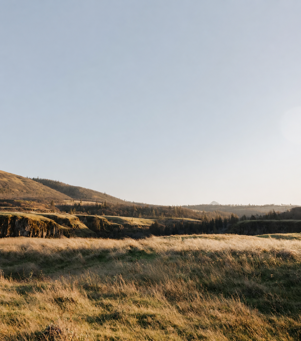 Kara Langley Photography