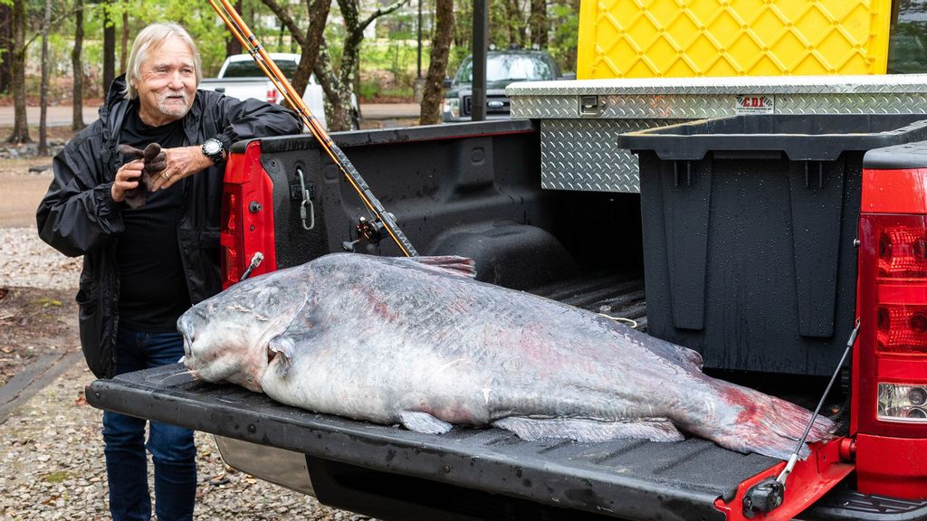 Caught fish: Mississippi angler nets biggest catfish in state's history
