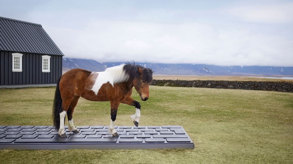 Hoof it – Iceland trots out service that lets horses reply to work emails while you’re on holiday