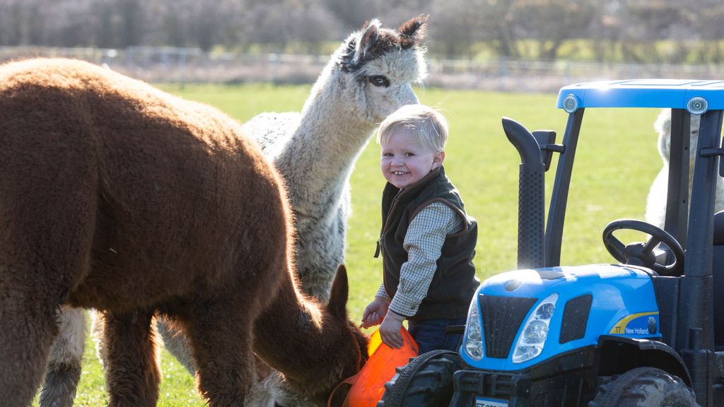 Video: Boy age 3 has a real farm to play with, and even drives a real tractor