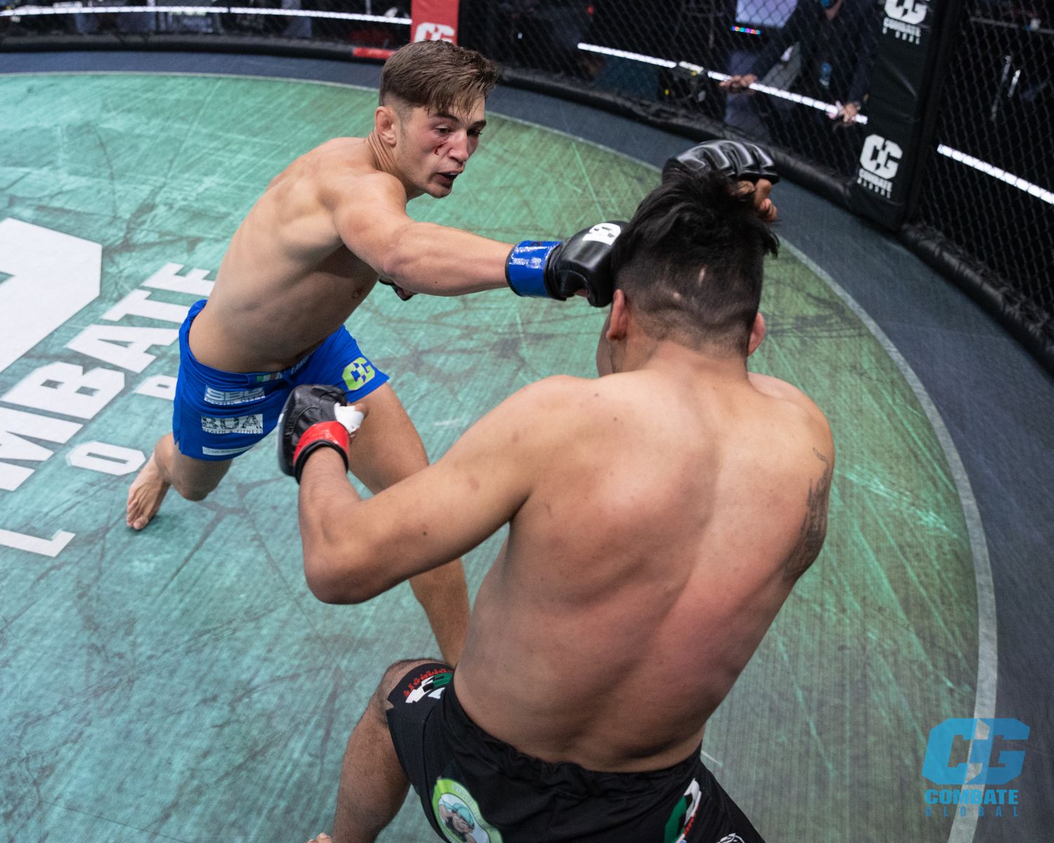 Combate Global set to be most-watched MMA brand In North America