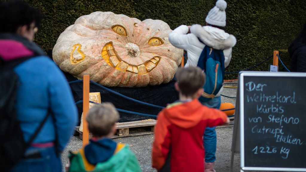 Professional pumpkin carver shares why you shouldn't light a tealight Inside