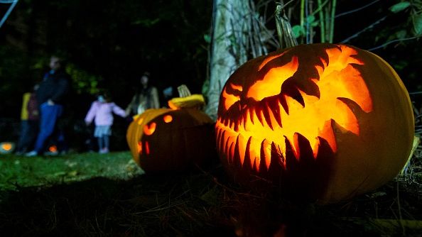 People look at Jack-O-Lanterns during a pumpkin parade event in Whiteoaks Park in Mississauga, Ontario, Canada, on Nov. 1, 2021. As an annual post-Halloween tradition, pumpkin parades returned to Ontario this year. ZOU ZHENG/XINHUA VIA GETTY IMAGES 