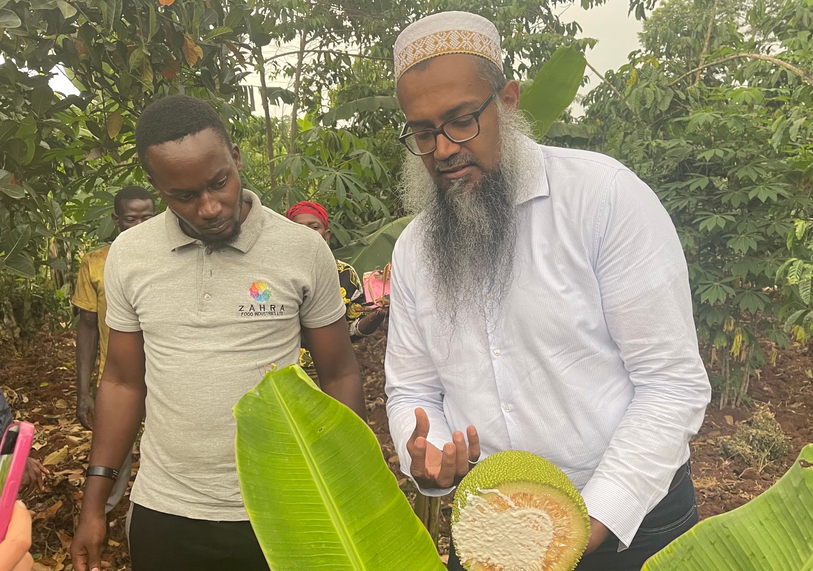 The Little-Known Jackfruit Trade Is Earning Rural Ugandan Farmers Nearly 20 Percent Of Yearly Income