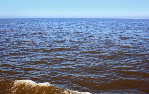 Pacific Red Tide