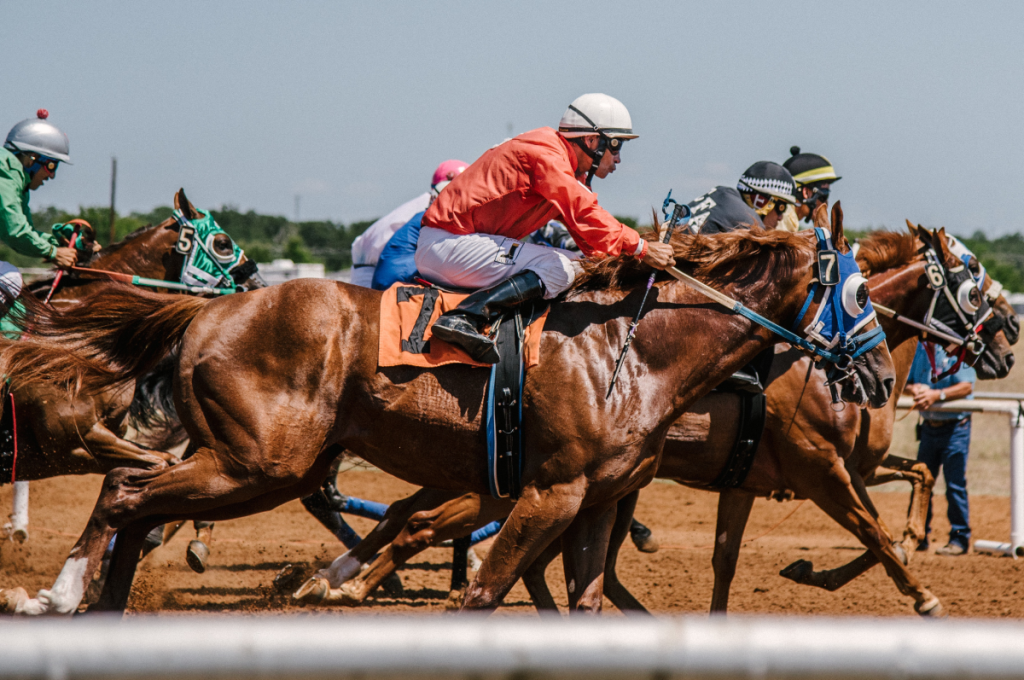 Disc Jockey in a horse race derby attempting to sprint ahead. It confirms the world's greatest names like Red Rum, Arkle, Frankel and Desert Orchid are all distantly related. ABSOLUTE CHARM/SWNS TALKER