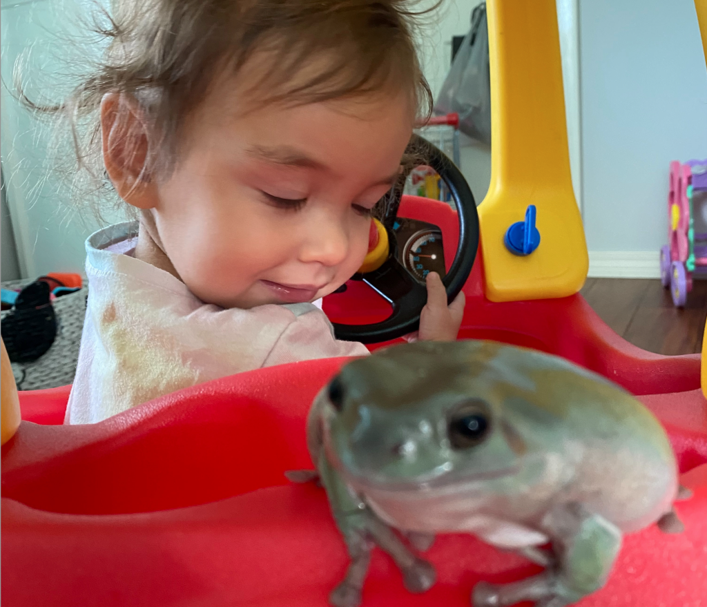 Julianna and her beloved pet frog George. (SWNS via Daily Motion)