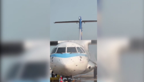 金門機場出現蜂陣共旅客叮著傷 機幫延54分