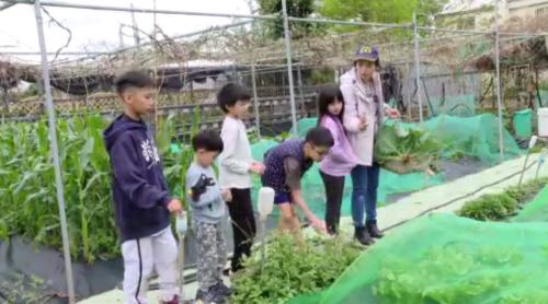 台語家庭計畫新一期起鼓 民眾望活動多元化