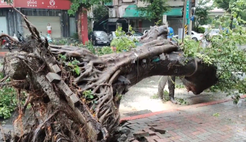 雙北透早數十件災情通報 預估入暝風雨愈大
