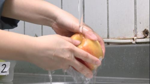 研究：菝仔、檸檬6種果子 表面有「熱帶念珠菌」
