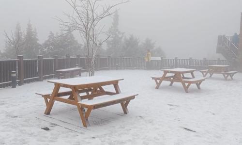 平地上低溫桃園6.7度 太平山落雪、玉山結樹霜