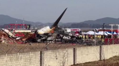 濟州航空179人死亡 初判鳥仔挵歹引擎致災